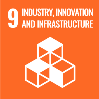 INDUSTRY INNOVATION AND INFRASTRUCTURE PNG